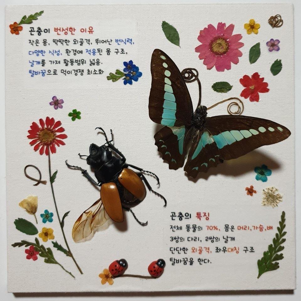 [대면] 우리도 생물학자교육 이미지 - 자세한 내용은 본문참조